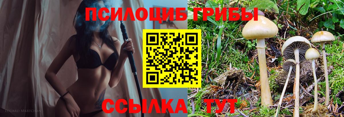 Галлюциногенные грибы мицелий  Вход с VPN  Скопин  Псилоцибиновые грибы Magic Shrooms 