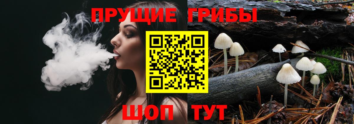 Галлюциногенные грибы прущие грибы Скопин